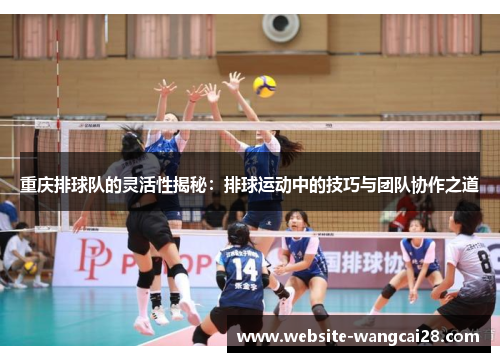 重庆排球队的灵活性揭秘：排球运动中的技巧与团队协作之道