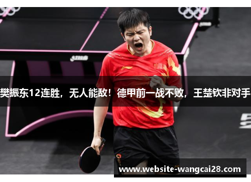 樊振东12连胜，无人能敌！德甲前一战不败，王楚钦非对手